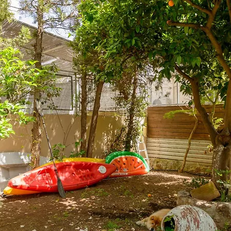 Agali 2 Maizonette Front Of The Sea Daire Akrogiali