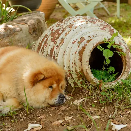 Agali 2 Maizonette Front Of The Sea *