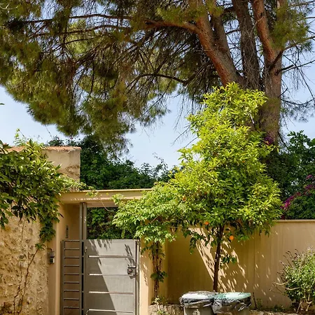 Apartment Agali 2 Maizonette Front Of The Sea *