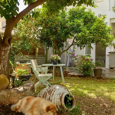 Agali 2 Maizonette Front Of The Sea