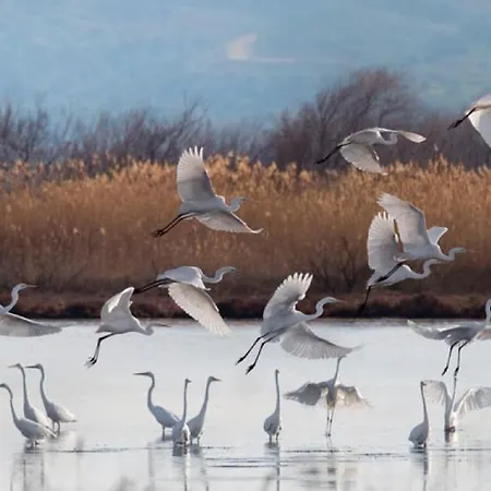 Agali 2 Maizonette Front Of The Sea * Akrogiali