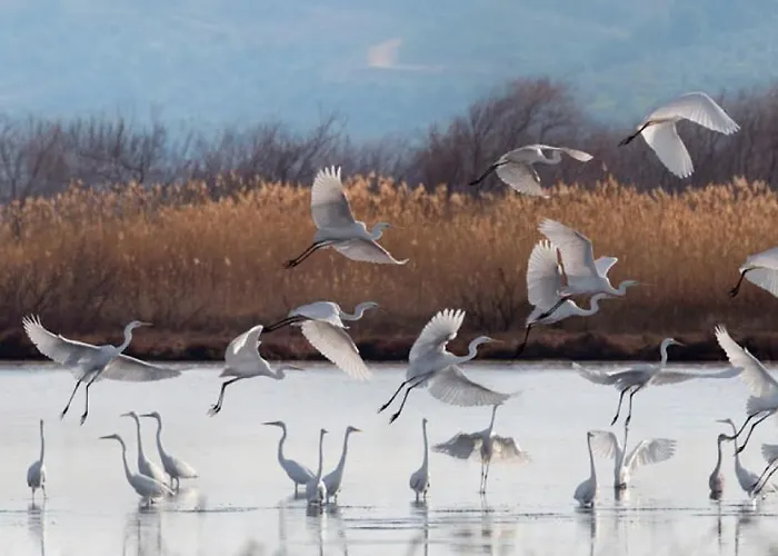 Agali 2 Maizonette Front Of The Sea * Akrogiali